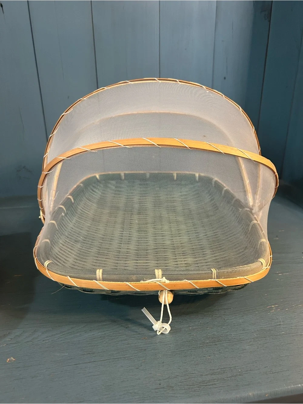 Bestoyard Teal Woven Serving Basket w/ White Mesh Cover Summer Outside Bbq/Party
